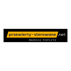 Przecisk pod drogą gminną - Sterowane przewierty horyzontalne - Przewierty Sterowane